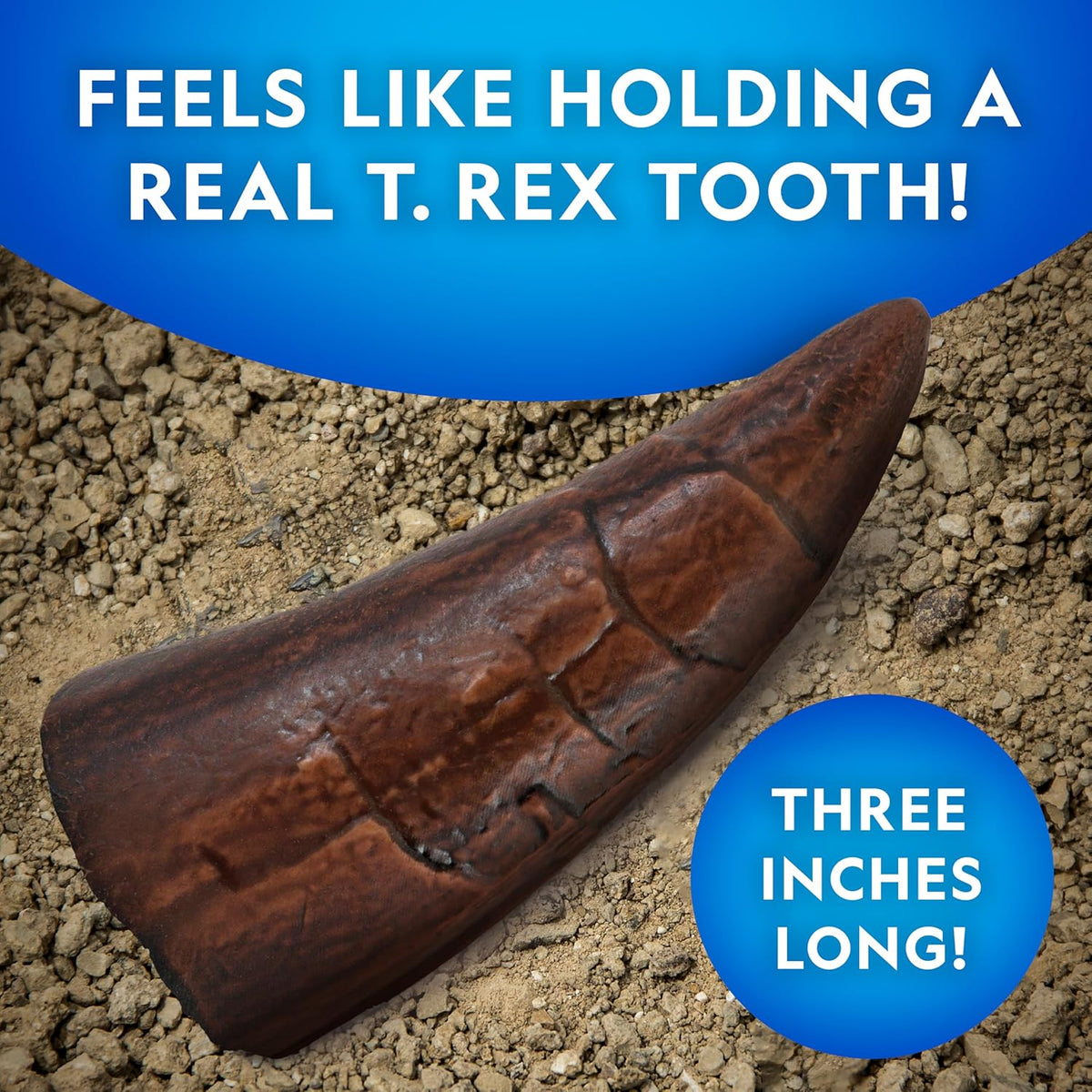 Dinosaur fossil dig kit with T. rex tooth replica, view 4