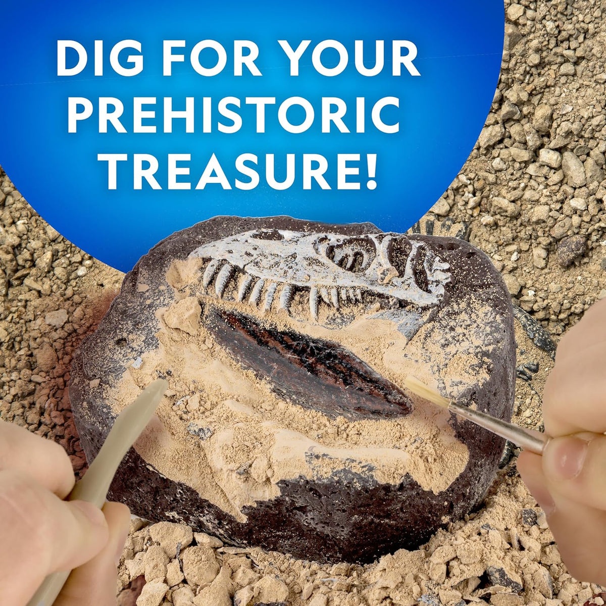 Dinosaur fossil dig kit with T. rex tooth replica, view 2