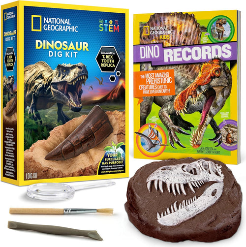 Dinosaur fossil dig kit with T. rex tooth replica, view 1