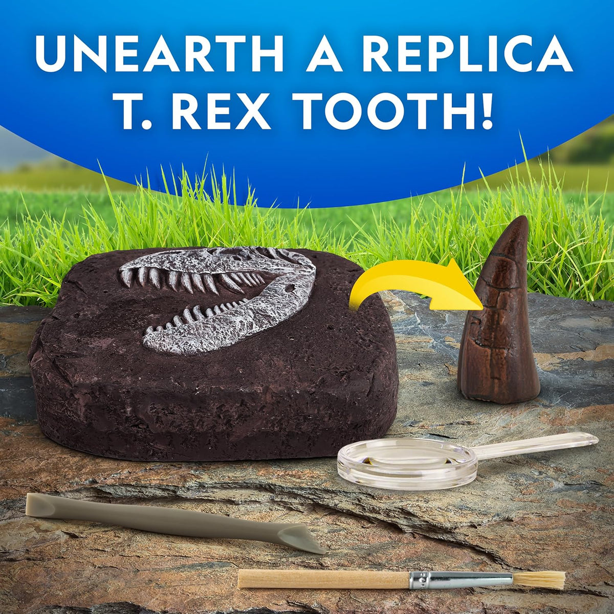 Dinosaur fossil dig kit with T. rex tooth replica, view 5